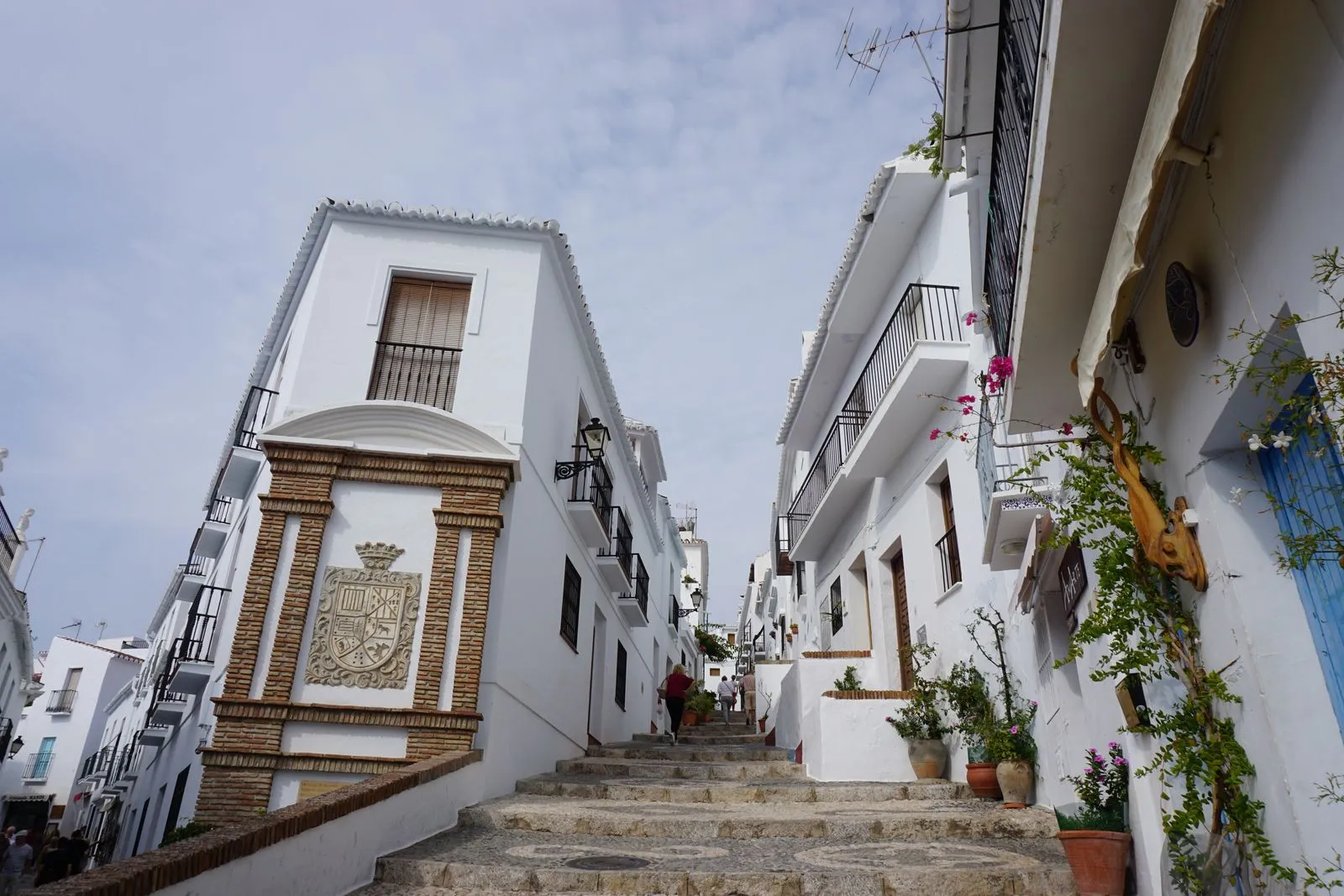 Calle encalada de un pueblo blanco español con macetas y flores